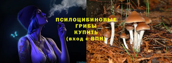 дмт Алексеевка