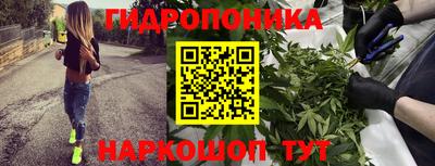 MESCALINE Кингисепп