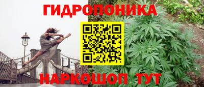 jwh Кинель