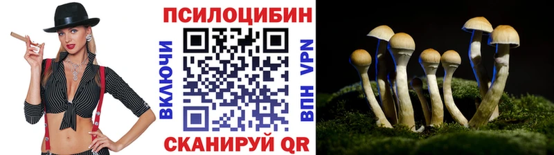 Галлюциногенные грибы мицелий  наркотики  сайты даркнета клад  Всеволожск 