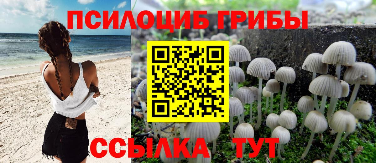 Галлюциногенные грибы Cubensis  Псилоцибиновые грибы ЛСД  Вход с VPN  Всеволожск 