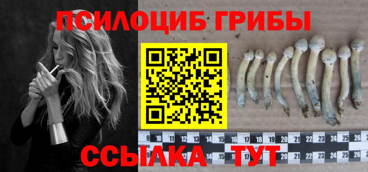 Псилоцибиновые грибы прущие грибы Всеволожск